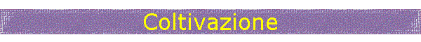 Coltivazione