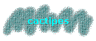 cactipes