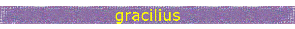 gracilius