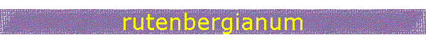 rutenbergianum